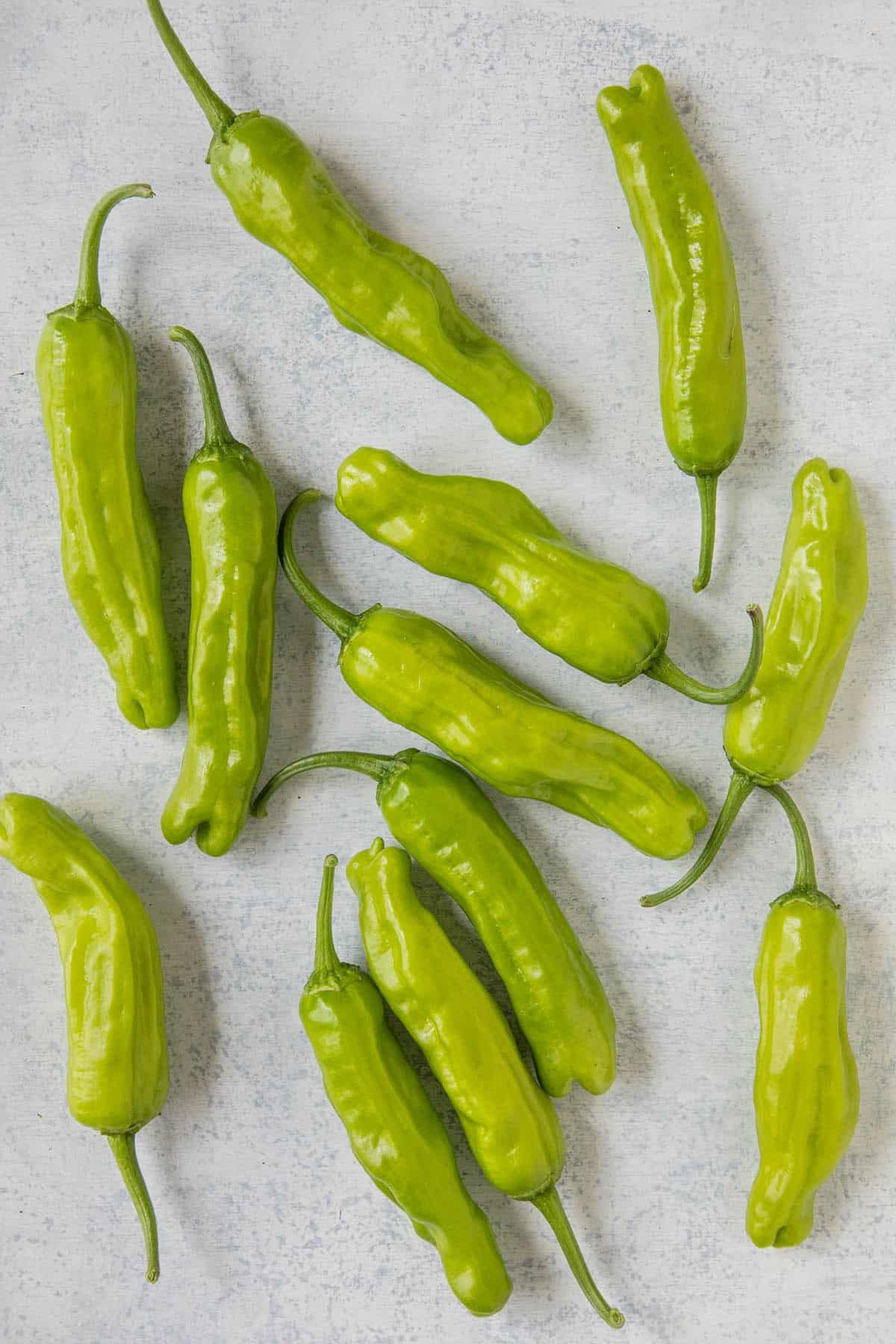 Amazon.com: Shishito Pepper (50 Seeds) A.k.a Wrinkled Old Man